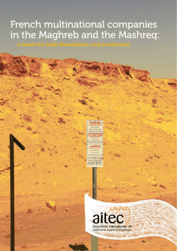 French multinational companies in the Maghreb and the