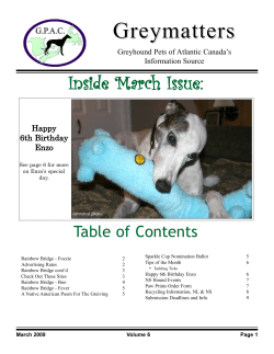 March 2009 - Greyhound Pets of Atlantic Canada