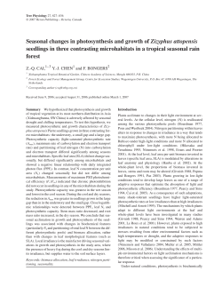 Seasonal changes in photosynthesis and growth of Zizyphus