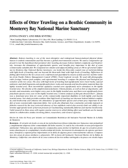 Bottom trawling: Impact interpretation a matter of perspective