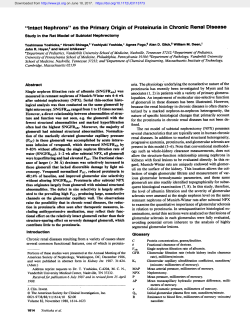 "intact Nephrons" as the Primary Origin of Proteinuria in Chronic