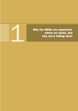 5 - UN Millennium Project