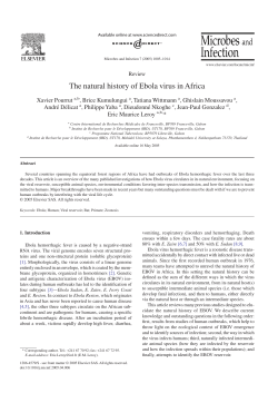 The natural history of Ebola virus in Africa