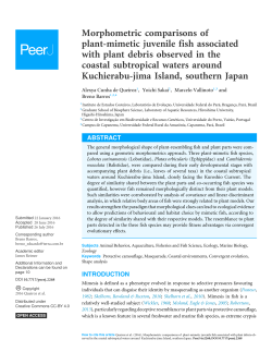 Morphometric comparisons of plant-mimetic juvenile fish
