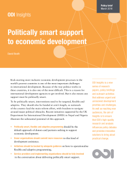 Politically smart support to economic development