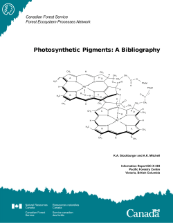 Photosynthetic Pigments: A Bibliography - Forests