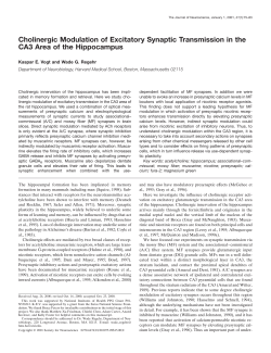 Cholinergic Modulation of Excitatory Synaptic Transmission in the