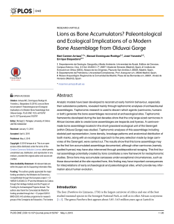 Lions as Bone Accumulators? Paleontological and Ecological