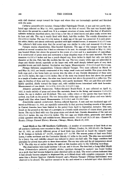 Land Birds at Sea Off Southern California