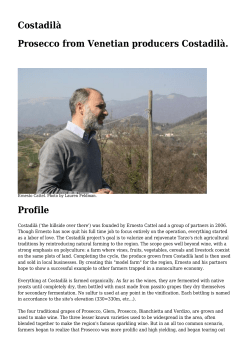 Costadil&agrave; Prosecco from Venetian producers