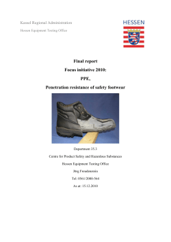 Final report Focus initiative 2010: PPE, Penetration resistance