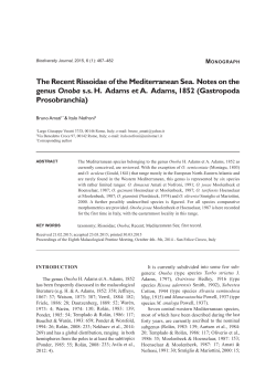 The Recent Rissoidae of the Mediterranean Sea