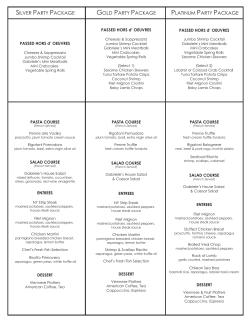 SILVER PARTY PACKAGE GOLD PARTY PACKAGE PLATINUM