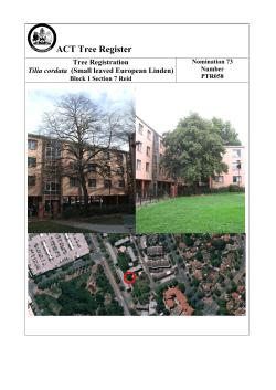 ACT Tree Register Tree Registration Tilia cordata
