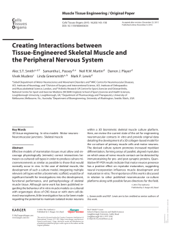 Creating Interactions between Tissue