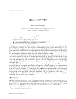Bryophytes - OpenStax CNX