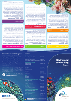Snorkelling and Diving Guide
