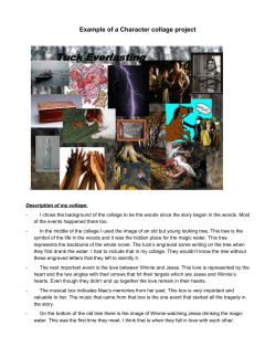 Example of a Character collage project