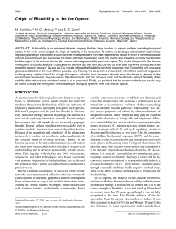 Origin of Bistability in the lac Operon