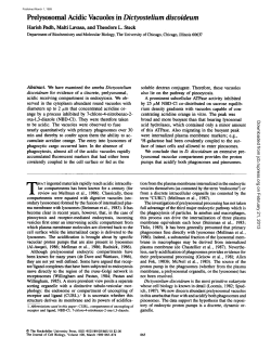 Prelysosomal Acidic Vacuoles in Dictyostelium