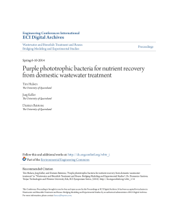 Purple phototrophic bacteria for nutrient recovery from domestic