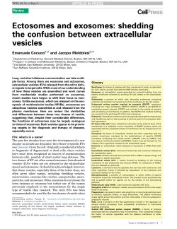 Ectosomes and exosomes: shedding the confusion between