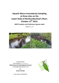 Aquatic Macro-invertebrate Sampling at three sites on the Lower