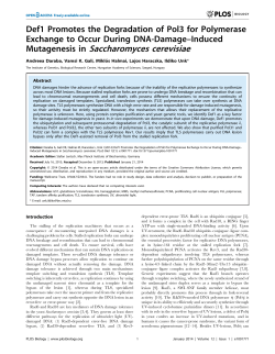 Mutagenesis in Saccharomyces cerevisiae - Bio