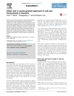 Adder and a coarse-grained approach to cell size