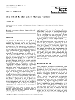 Stem cells of the adult kidney: where are you from?