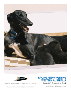 Breeder Education Package - Unit 3 (Whelping the Litter)