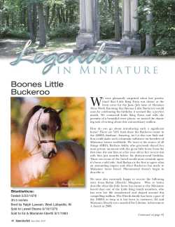 Boones Little Buckeroo