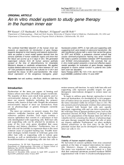 An in vitro model system to study gene therapy in the human inner ear