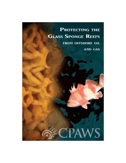 PROTECTING THE GLASS SPONGE REEFS