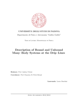 Description of Bound and Unbound Many&ndash;Body Systems at the Drip