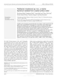 Fabibacter misakiensis sp. nov., a marine bacterium isolated from