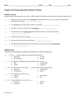 Study Guide 02Nov