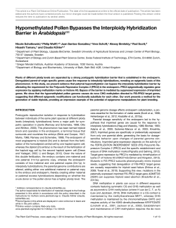Hypomethylated Pollen Bypasses the Interploidy