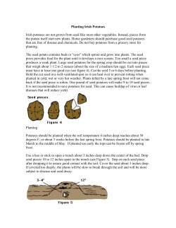 Planting Irish Potatoes - Cherokee County Center