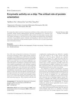 Enzymatic activity on a chip: The critical role of protein orientation