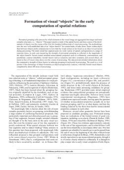 Formation of visual &ldquo;objects&rdquo; in the early computation of