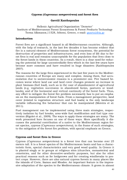 Cypress (Cupressus sempervirens) and forest fires Gavriil