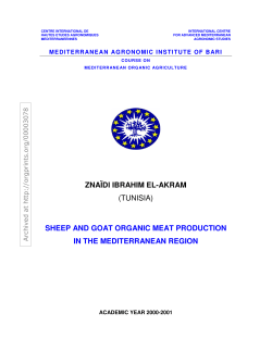 (tunisia) sheep and goat organic meat production in the