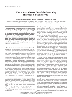 Characterization of Starch-Debranching Enzymes