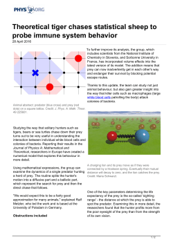 Theoretical tiger chases statistical sheep to probe immune system