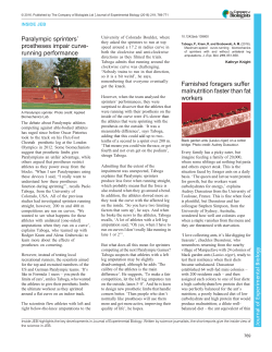 Prozac makes Siamese fighting fish timid