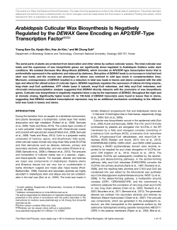 Arabidopsis Cuticular Wax Biosynthesis Is