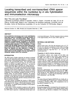 Locating transcribed and non-transcribed rDNA spacer sequences