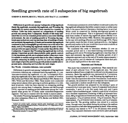 Seedling growth rate of 3 subspecies of big sagebrush