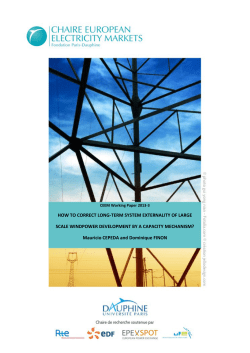 HOW TO CORRECT LONG-TERM SYSTEM EXTERNALITY OF